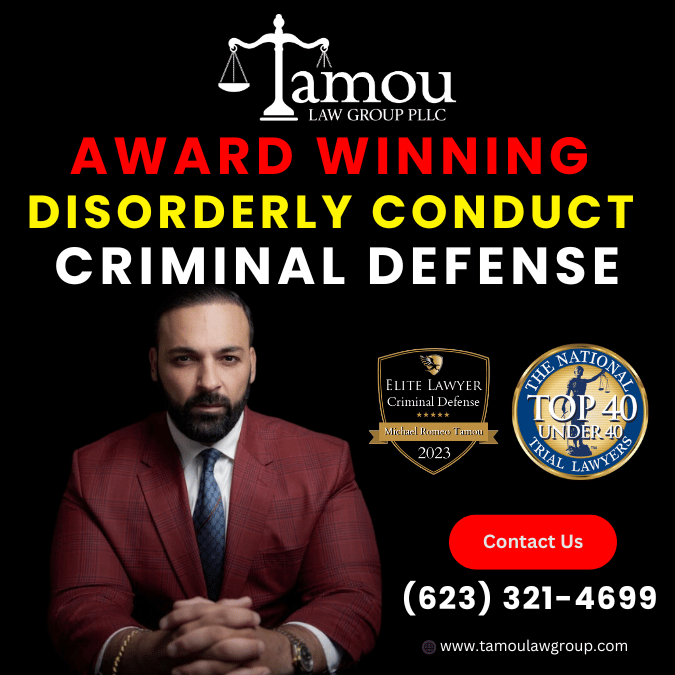 ars disorderly conduct lawyer